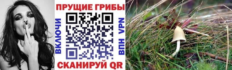 Псилоцибиновые грибы Magic Shrooms  Купить  Ступино 